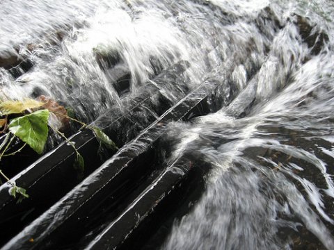 Photo of water down the drain