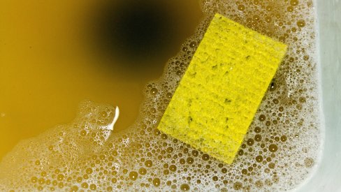 Sponge in water